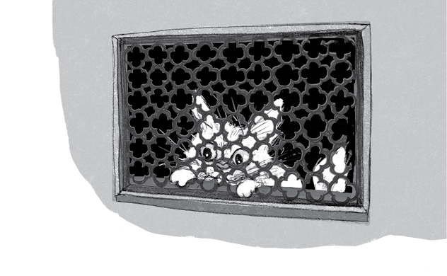 Иллюстрация к книге — Бутербродный вор [i_019.jpg]