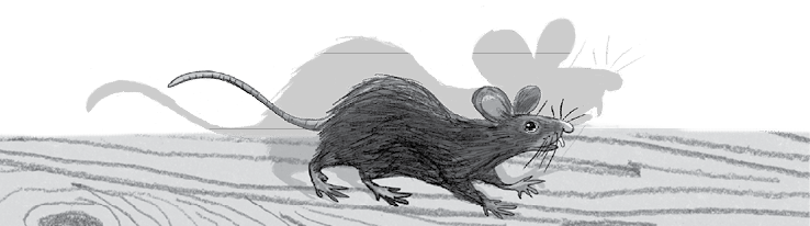 Иллюстрация к книге — Бутербродный вор [i_030.jpg]