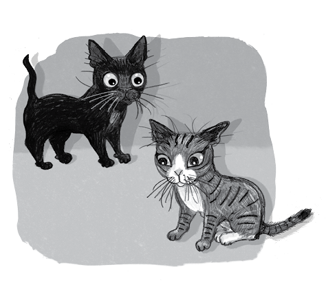 Иллюстрация к книге — Бутербродный вор [i_034.jpg]