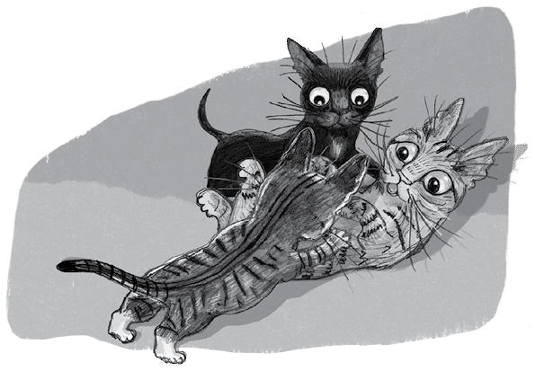 Иллюстрация к книге — Бутербродный вор [i_041.jpg]