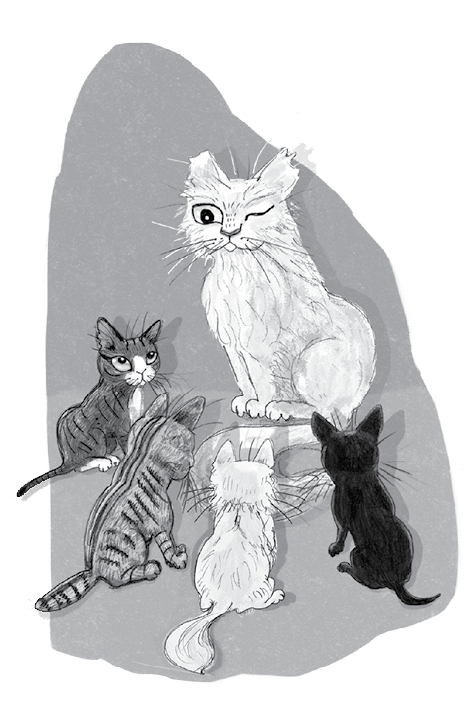 Иллюстрация к книге — Бутербродный вор [i_048.jpg]