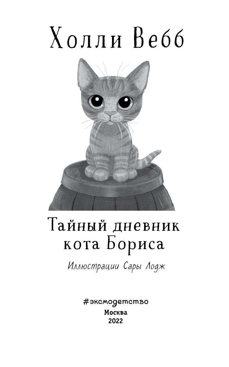Иллюстрация к книге — Тайный дневник кота Бориса [i_003.jpg]