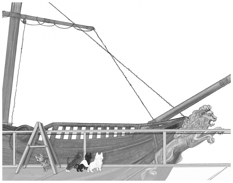 Иллюстрация к книге — Тайный дневник кота Бориса [i_008.jpg]