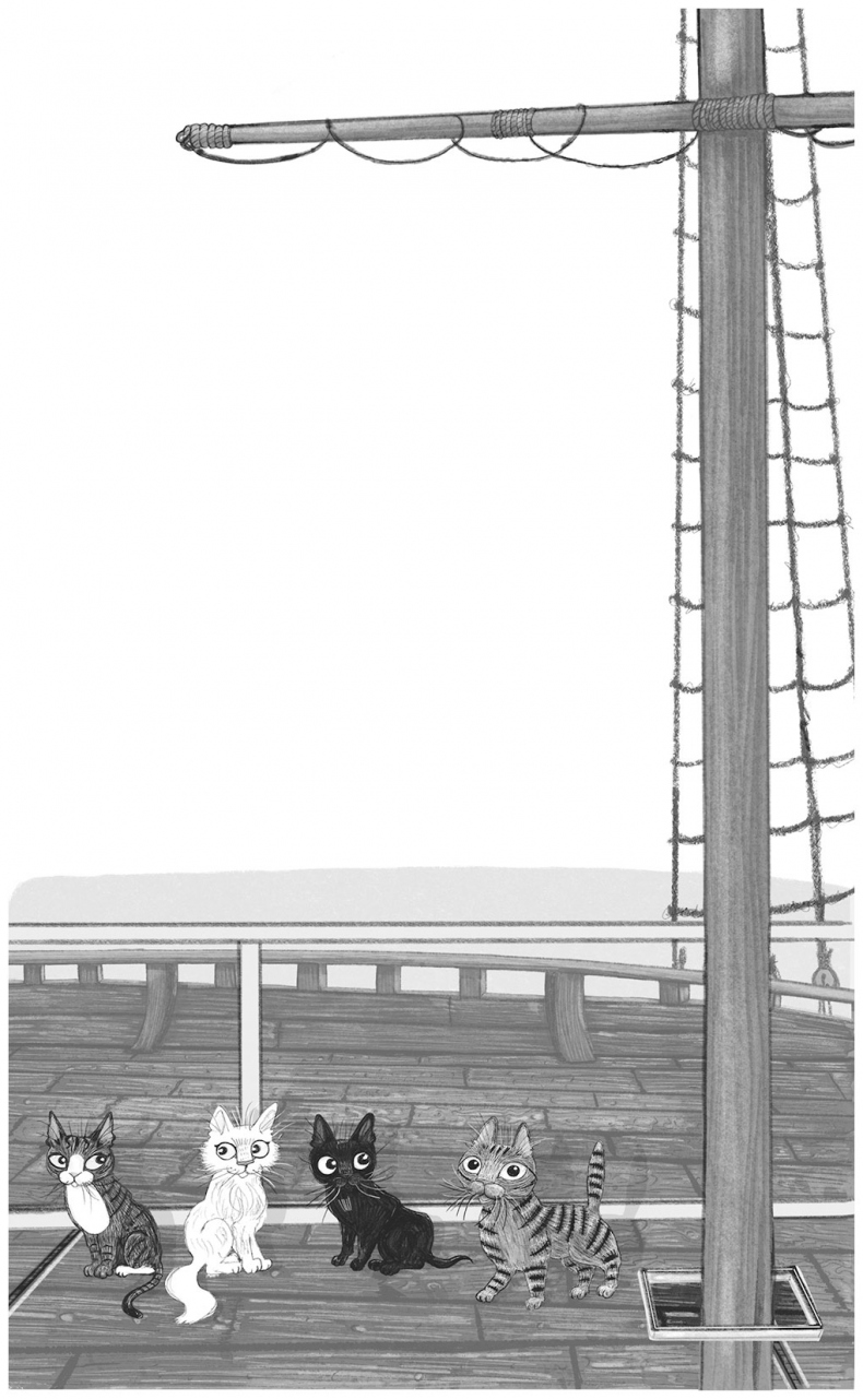 Иллюстрация к книге — Тайный дневник кота Бориса [i_009.jpg]