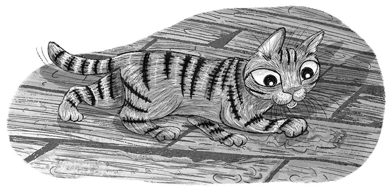 Иллюстрация к книге — Тайный дневник кота Бориса [i_010.jpg]