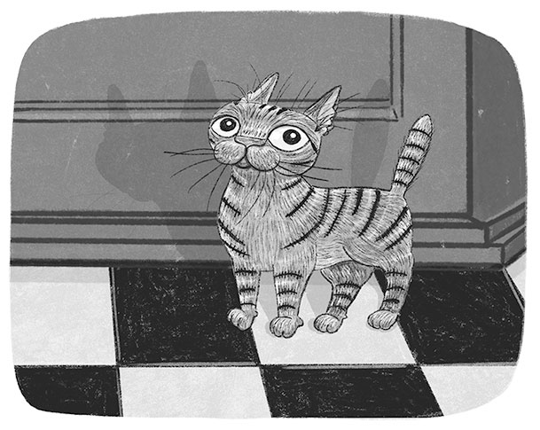 Иллюстрация к книге — Тайный дневник кота Бориса [i_014.jpg]