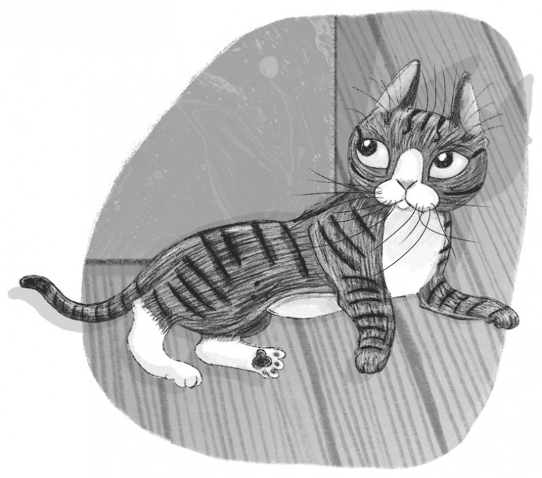 Иллюстрация к книге — Тайный дневник кота Бориса [i_016.jpg]