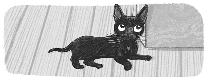 Иллюстрация к книге — Тайный дневник кота Бориса [i_017.jpg]