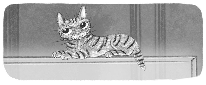 Иллюстрация к книге — Тайный дневник кота Бориса [i_018.jpg]