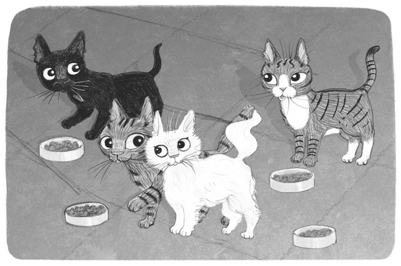 Иллюстрация к книге — Тайный дневник кота Бориса [i_019.jpg]