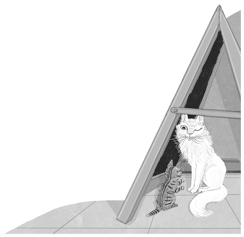 Иллюстрация к книге — Тайный дневник кота Бориса [i_024.jpg]