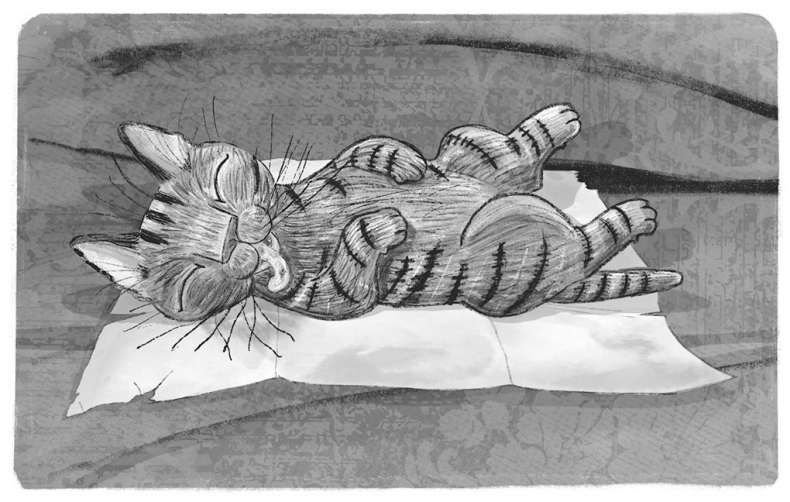 Иллюстрация к книге — Тайный дневник кота Бориса [i_043.jpg]