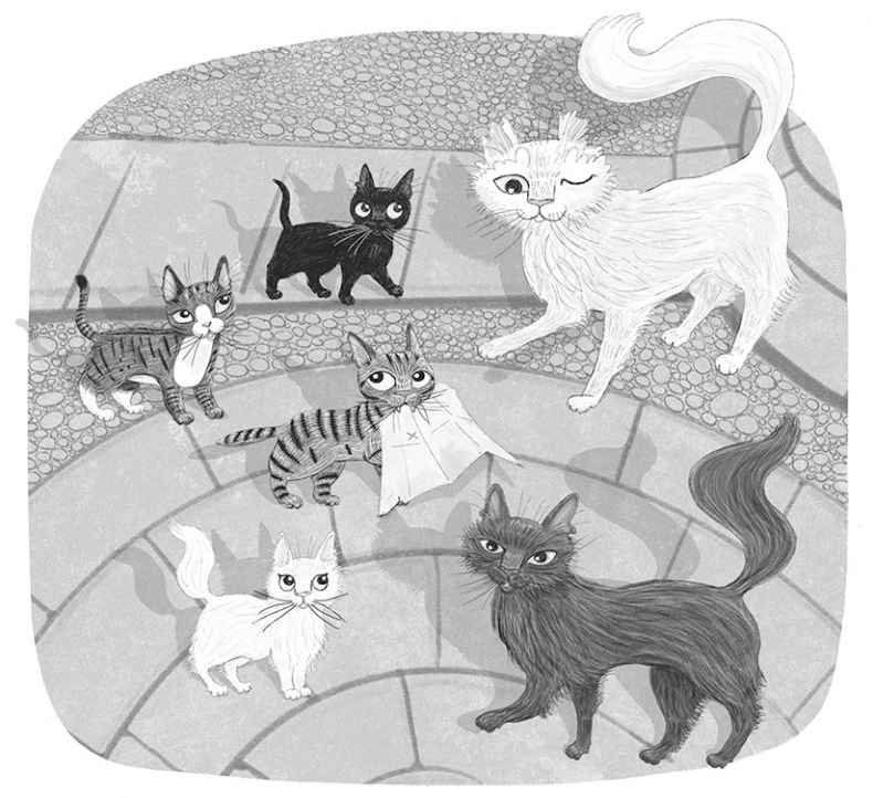 Иллюстрация к книге — Тайный дневник кота Бориса [i_046.jpg]