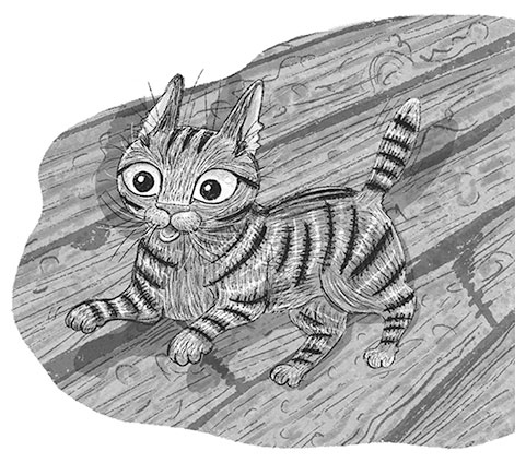 Иллюстрация к книге — Тайный дневник кота Бориса [i_054.jpg]