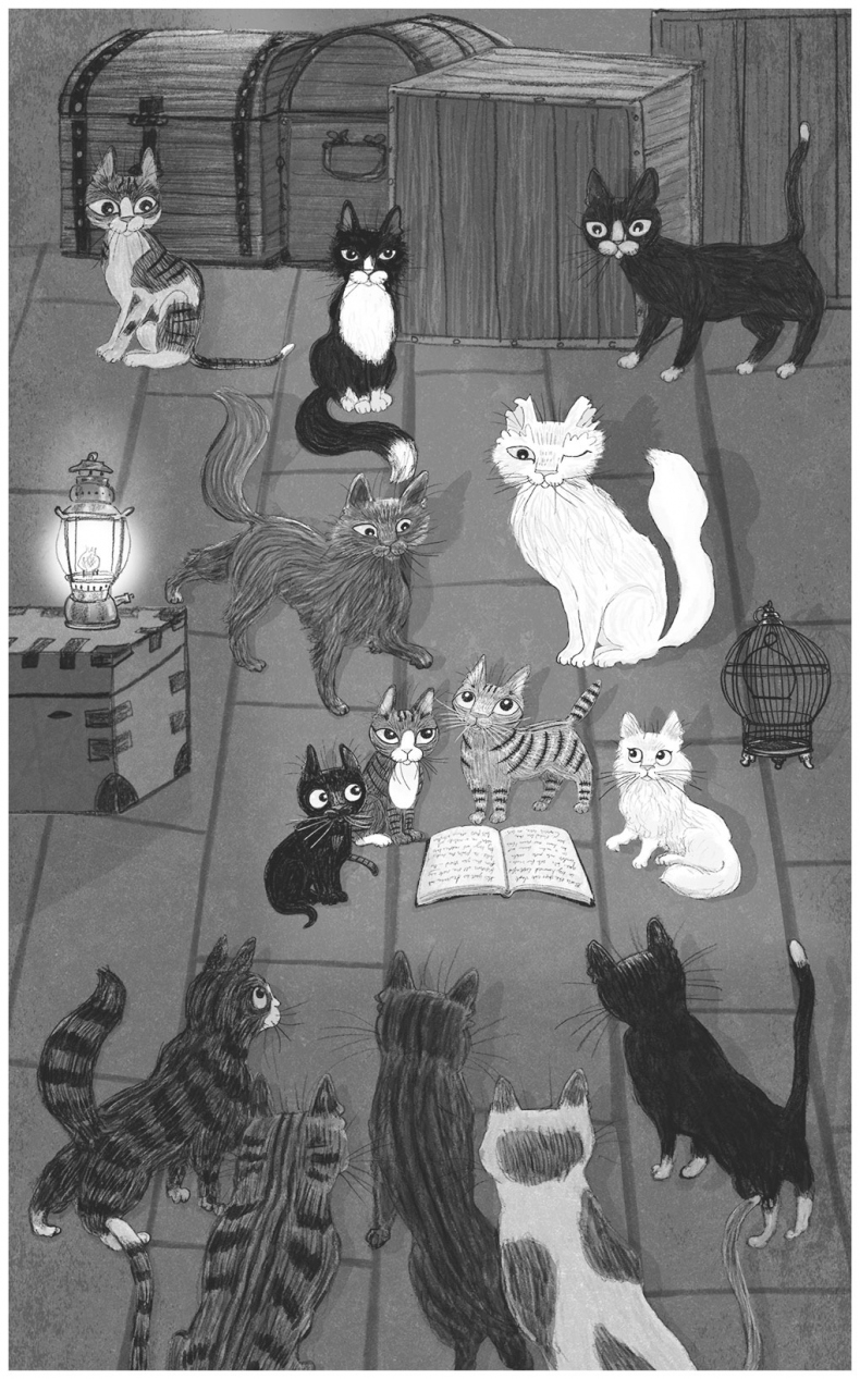 Иллюстрация к книге — Тайный дневник кота Бориса [i_058.jpg]