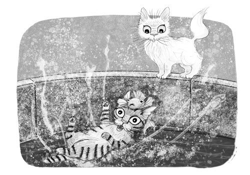 Иллюстрация к книге — Ночёвка с грабителями [i_005.jpg]