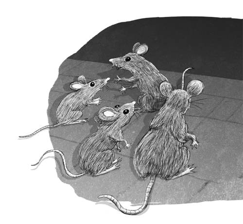 Иллюстрация к книге — Ночёвка с грабителями [i_017.jpg]