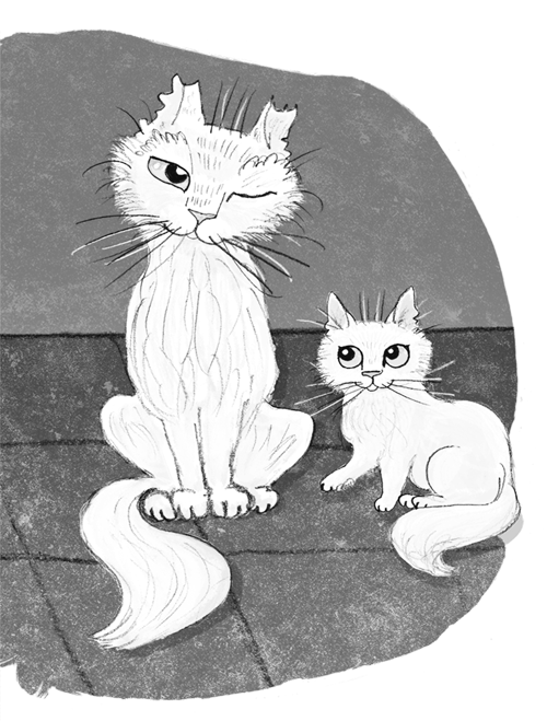 Иллюстрация к книге — Ночёвка с грабителями [i_018.jpg]