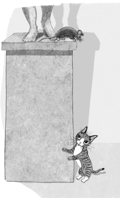 Иллюстрация к книге — Ночёвка с грабителями [i_035.jpg]