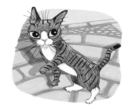 Иллюстрация к книге — Ночёвка с грабителями [i_036.jpg]