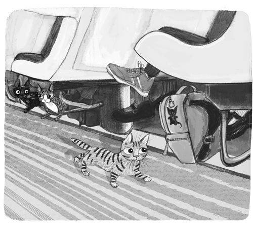 Иллюстрация к книге — Ночёвка с грабителями [i_037.jpg]