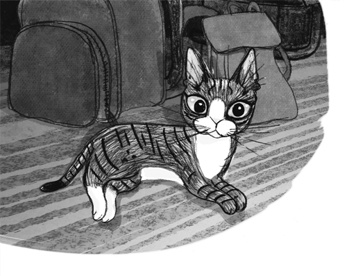 Иллюстрация к книге — Ночёвка с грабителями [i_038.jpg]