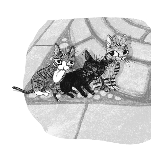 Иллюстрация к книге — Ночёвка с грабителями [i_040.jpg]