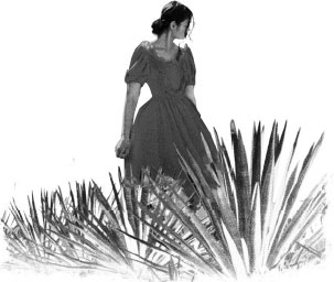 Иллюстрация к книге — Асьенда [i_001.jpg]