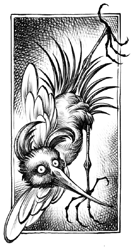 Иллюстрация к книге — Хозяйка Шварцвальда [i_001.jpg]