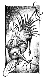 Иллюстрация к книге — Хозяйка Шварцвальда [i_004.jpg]