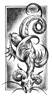 Иллюстрация к книге — Хозяйка Шварцвальда [i_018.jpg]