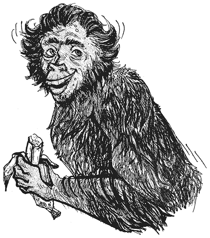 Иллюстрация к книге — Возвращение царя обезьян [i_003.jpg]