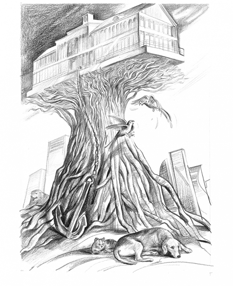 Иллюстрация к книге — Звонок из Мемфиса [i_007.jpg]