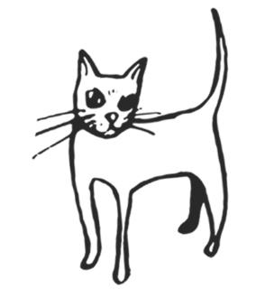 Иллюстрация к книге — Не моргай! [i_007.jpg]