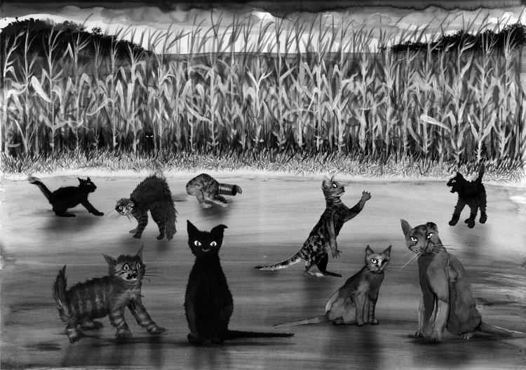 Иллюстрация к книге — Не моргай! [i_010.jpg]