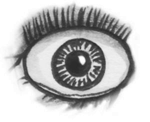 Иллюстрация к книге — Тринадцать [i_002.jpg]