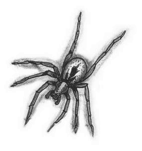 Иллюстрация к книге — Тринадцать [i_004.jpg]