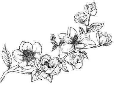 Иллюстрация к книге — Сила и ярость Юга [i_037.jpg]