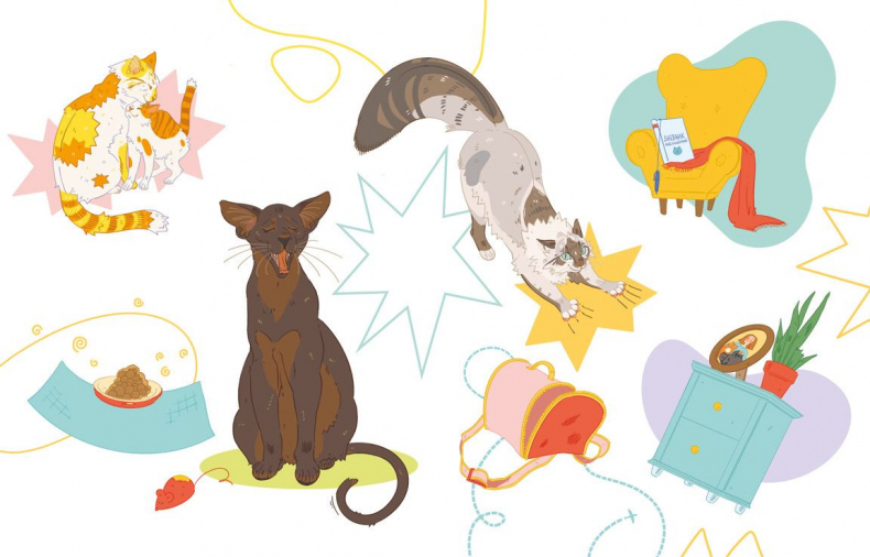 Иллюстрация к книге — Секреты кошек. Как понять кошку и стать ей другом [i_003.jpg]