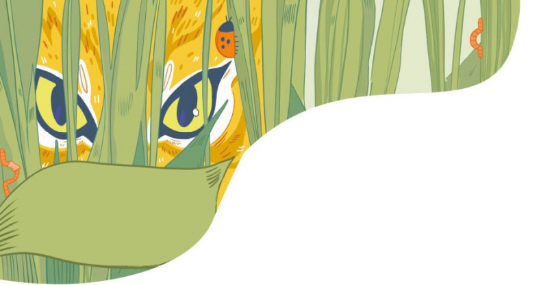 Иллюстрация к книге — Секреты кошек. Как понять кошку и стать ей другом [i_004.jpg]