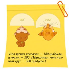 Иллюстрация к книге — Секреты кошек. Как понять кошку и стать ей другом [i_005.jpg]