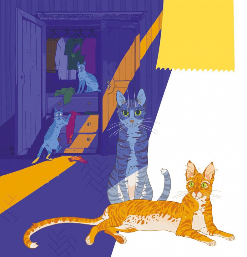 Иллюстрация к книге — Секреты кошек. Как понять кошку и стать ей другом [i_009.jpg]