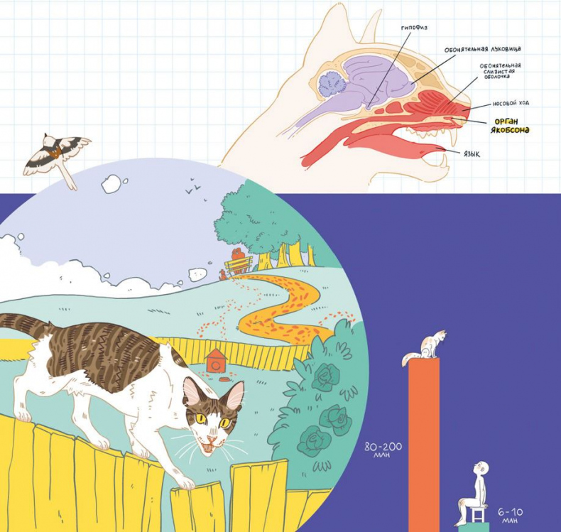 Иллюстрация к книге — Секреты кошек. Как понять кошку и стать ей другом [i_011.jpg]