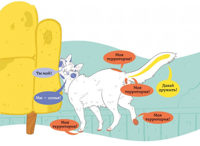 Иллюстрация к книге — Секреты кошек. Как понять кошку и стать ей другом [i_013.jpg]