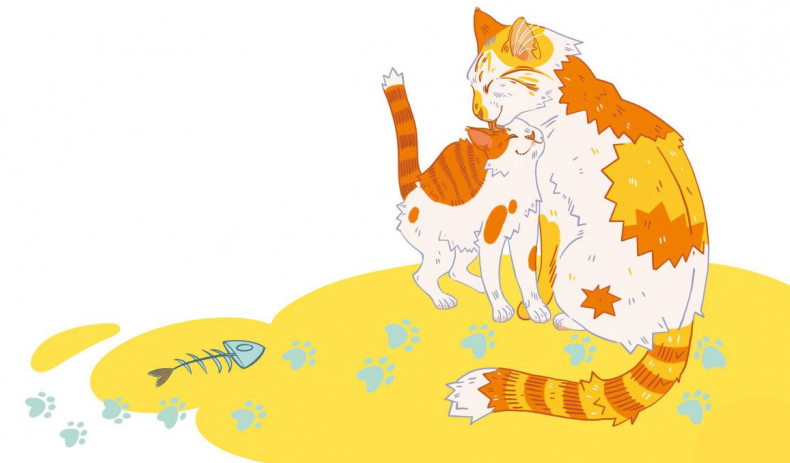 Иллюстрация к книге — Секреты кошек. Как понять кошку и стать ей другом [i_018.jpg]