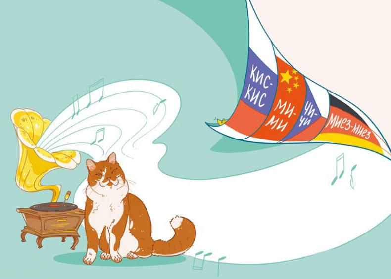 Иллюстрация к книге — Секреты кошек. Как понять кошку и стать ей другом [i_021.jpg]