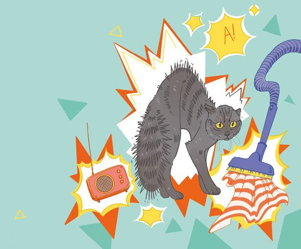 Иллюстрация к книге — Секреты кошек. Как понять кошку и стать ей другом [i_022.jpg]