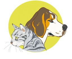 Иллюстрация к книге — Секреты кошек. Как понять кошку и стать ей другом [i_023.jpg]