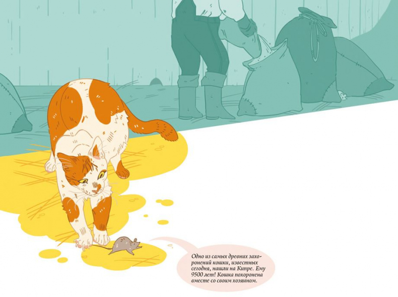 Иллюстрация к книге — Секреты кошек. Как понять кошку и стать ей другом [i_034.jpg]