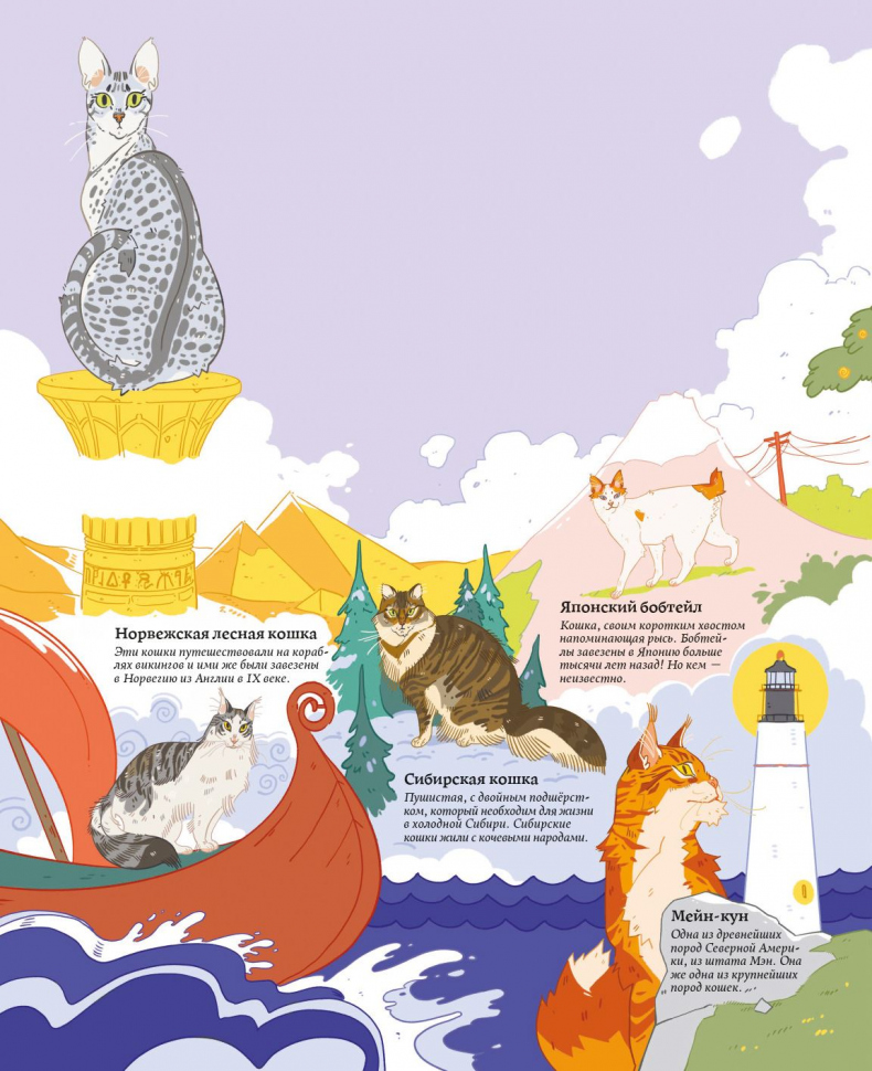 Иллюстрация к книге — Секреты кошек. Как понять кошку и стать ей другом [i_039.jpg]